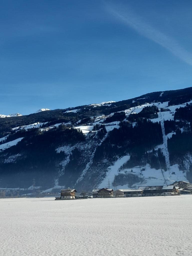Hofer's Wiesenheim photo 3