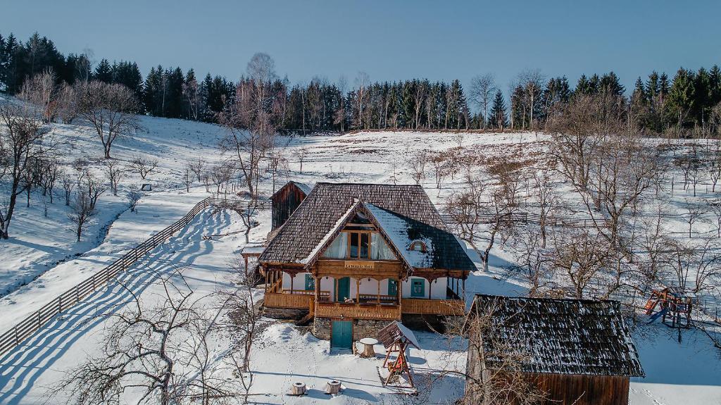 La bujda lu mosu photo 4