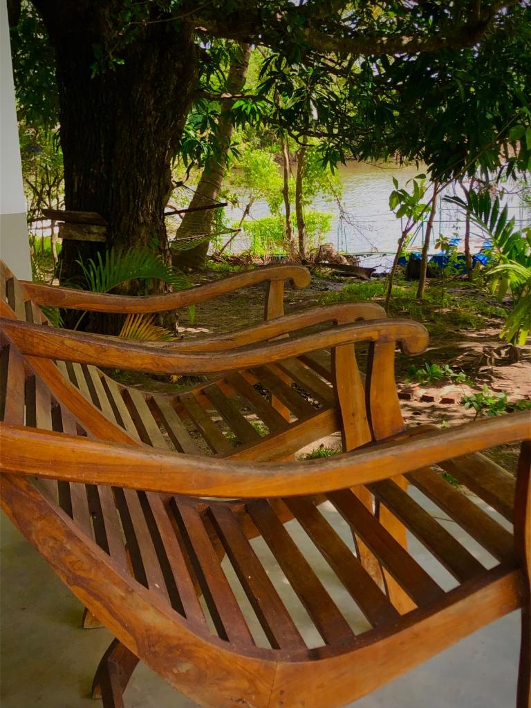 Wilpattu Green Cabin photo 4