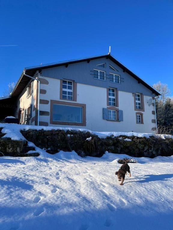 LA BELLE DES VOSGES "bain nordique et sauna" photo 1