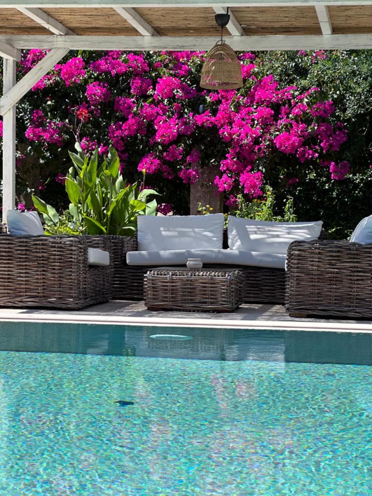 Palazzo Siena - Home & More