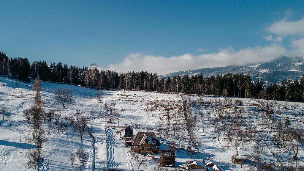 La bujda lu mosu photo 3