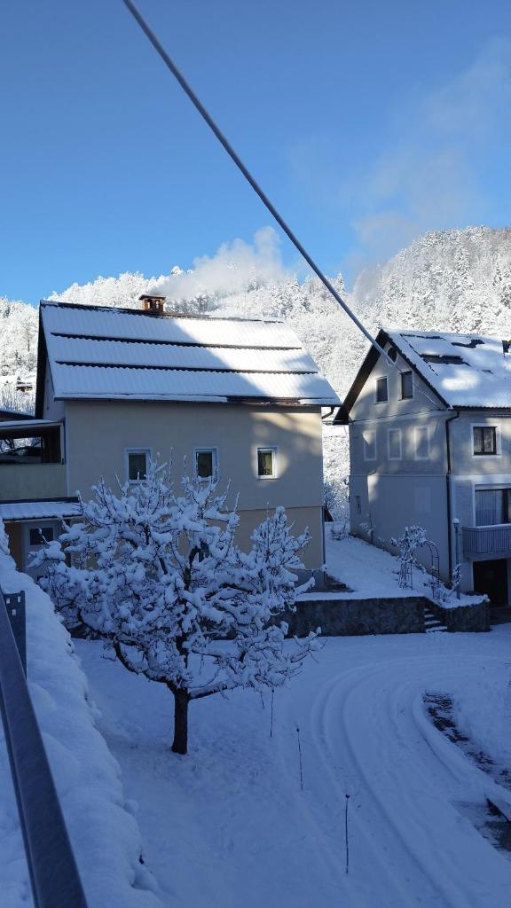 Apartma B & O photo 2