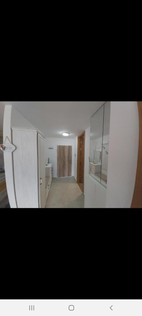 OLIMPIJSKA KUCA-Planinska Avantura photo 1