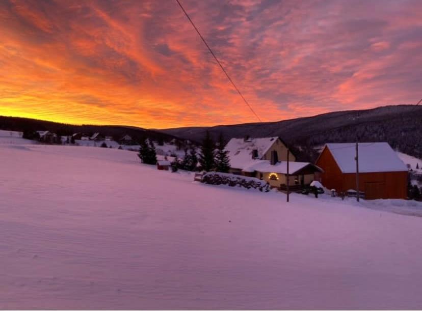 Morgensonne photo 4