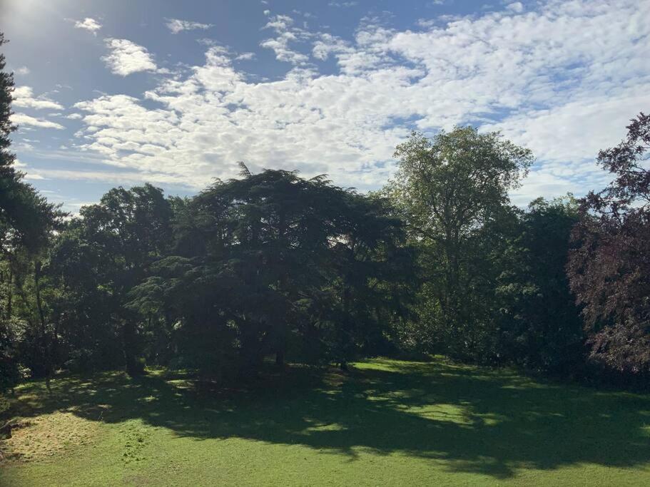 Le Château de John Miles au bord de l’eau photo 3