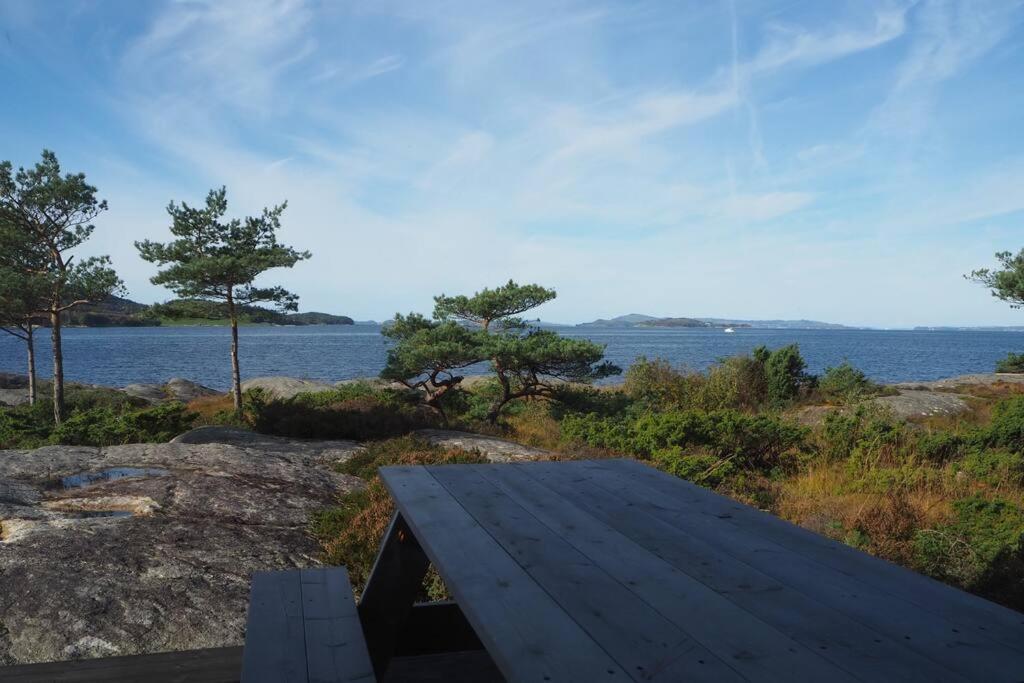 Magical Seaview and close to Preikestolen photo 2