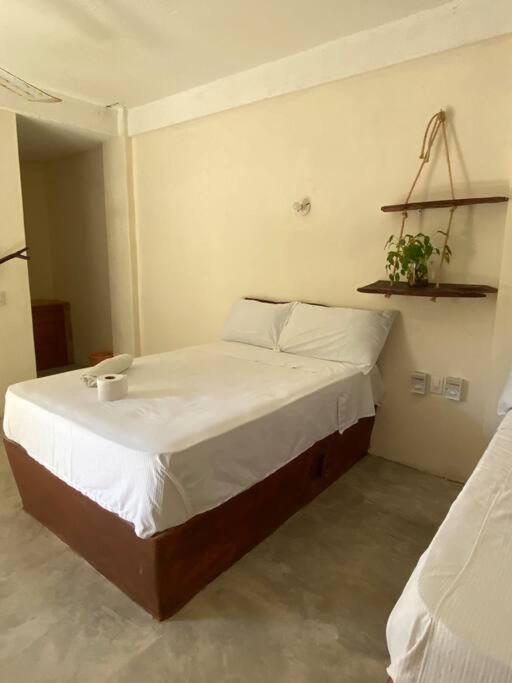 Habitación Istmo photo 1