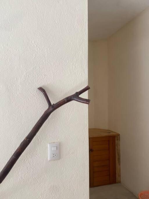 Habitación Istmo photo 4