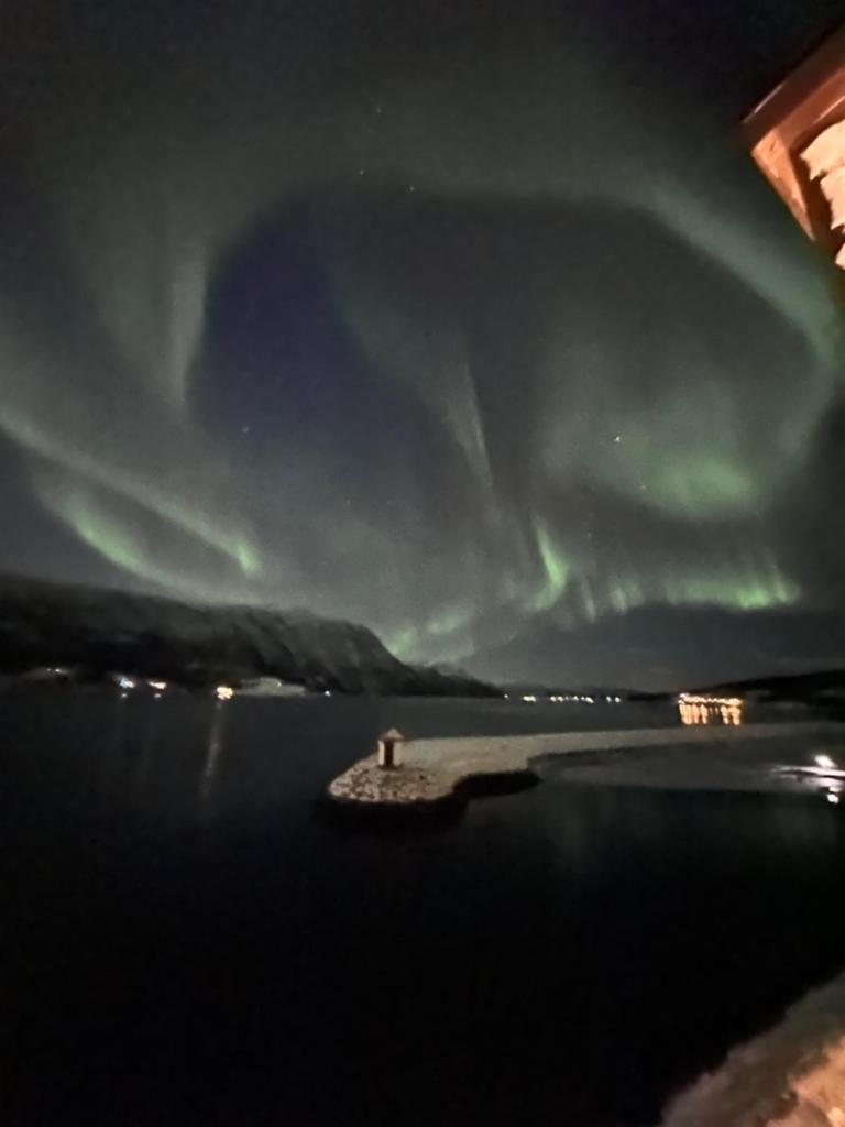 Malangen Arctic Sealodge Cabin 10 photo 3