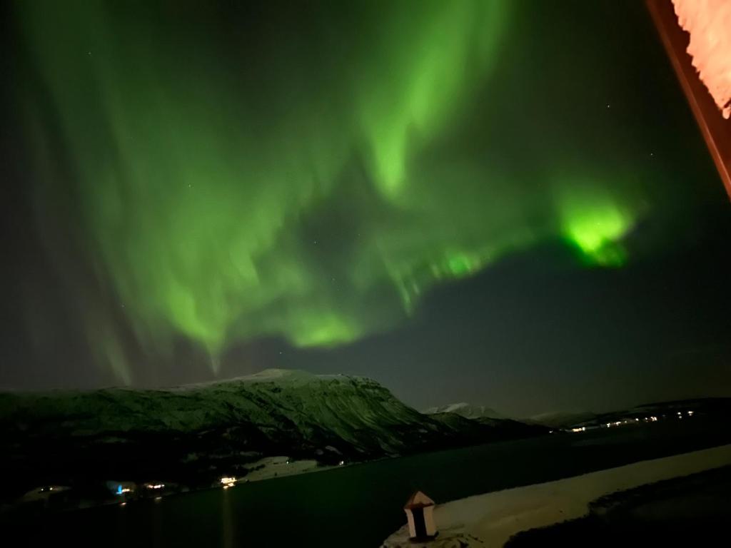 Malangen Arctic Sealodge Cabin 10 photo 2