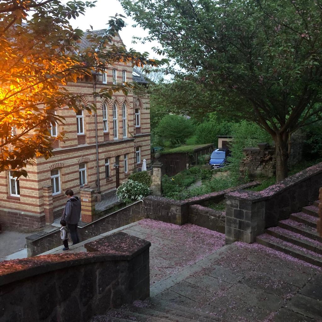 Marktresidenz Eisenach photo 1