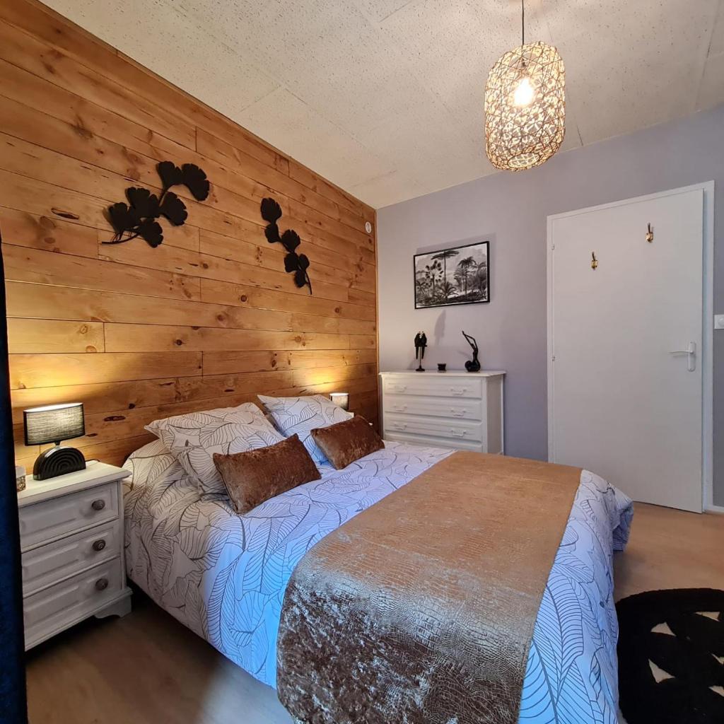 Bel appartement « Les Monts du Cantal » photo 3