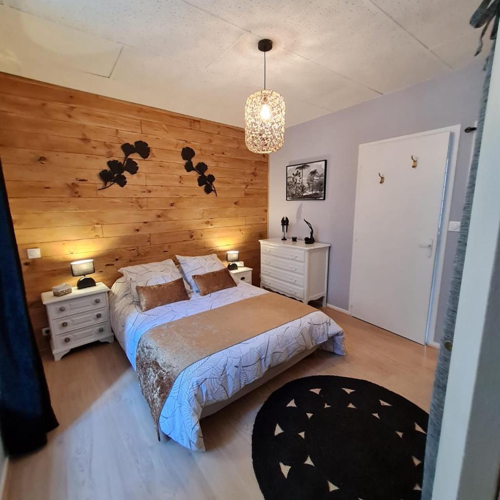 Bel appartement « Les Monts du Cantal » photo 1