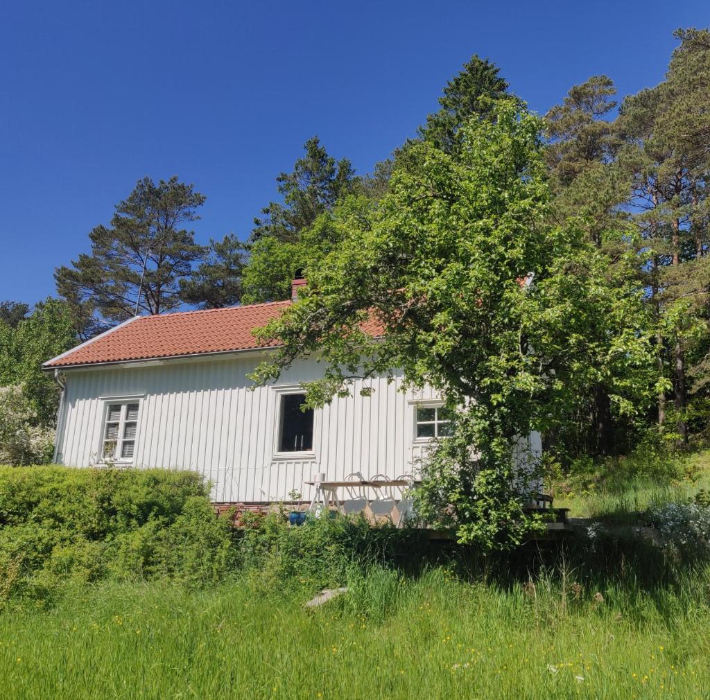 19th-century cottage on the Swedish West Coast photo 2