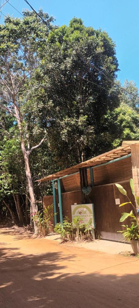 4eTal Trancoso photo 3