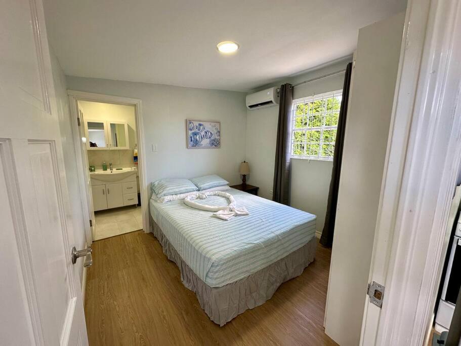 Island Life Apartment photo 1