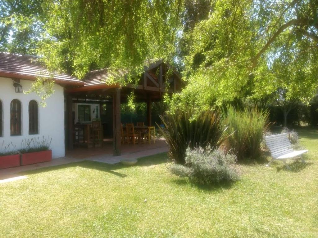 Shanti photo 4