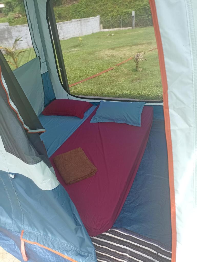 Camping TENUI