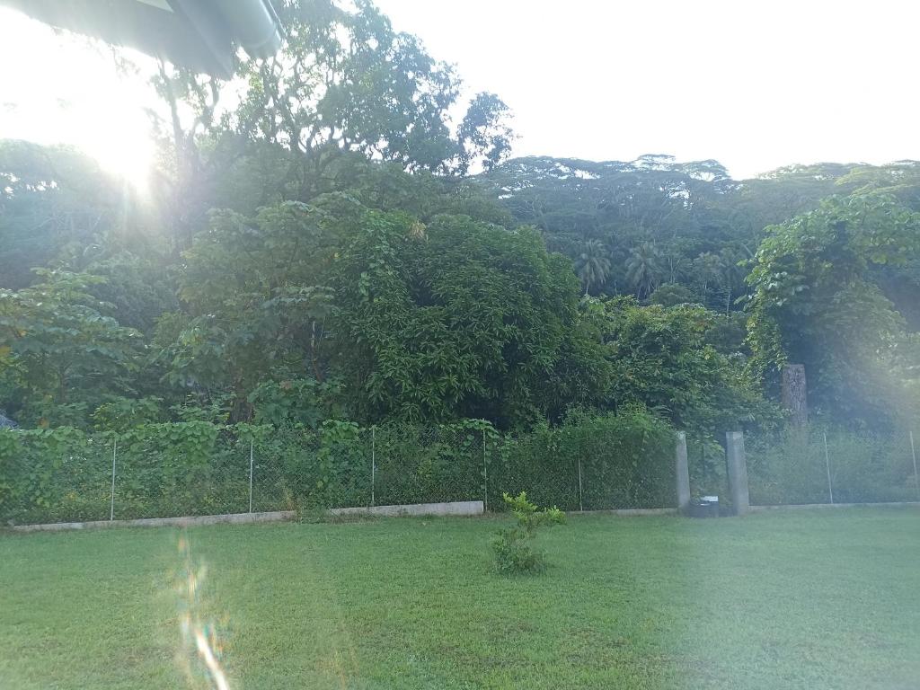 Camping TENUI photo 1