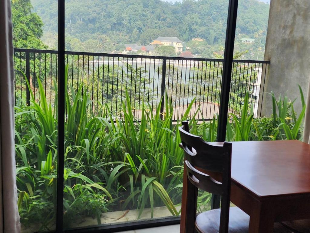 Lotus Lake Residence photo 4