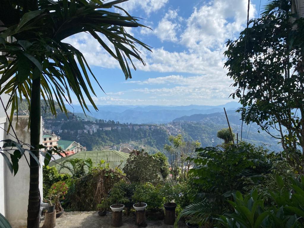Wayward Homestay photo 1
