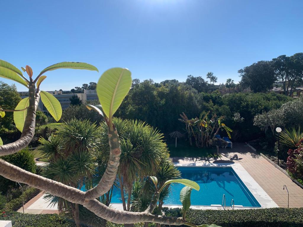 Sotogrande Duplex near Polo, 2 terraces, 2 pools, full south, 7' drive to beaches and Port, 4 people