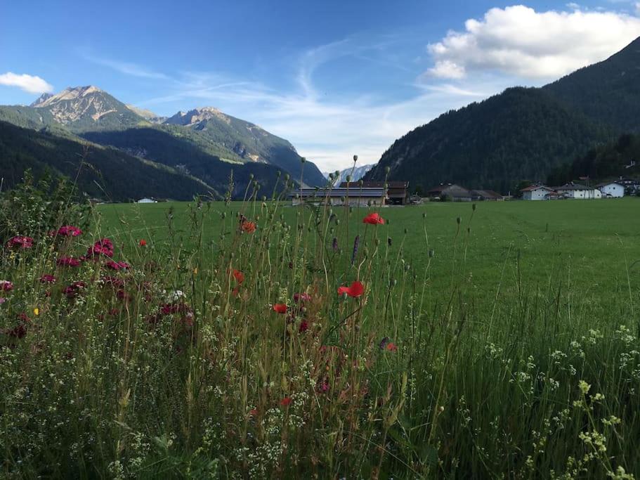 Das Ferienhaus in Achenkirch photo 3