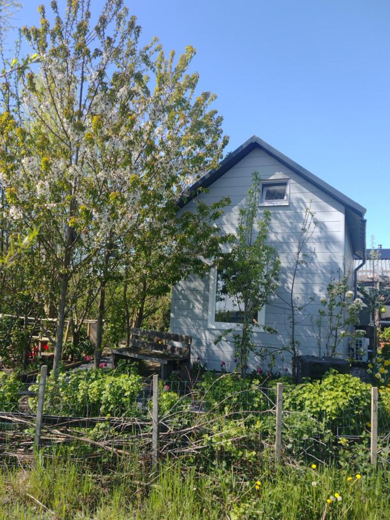 Tuinhuisje in het groen
