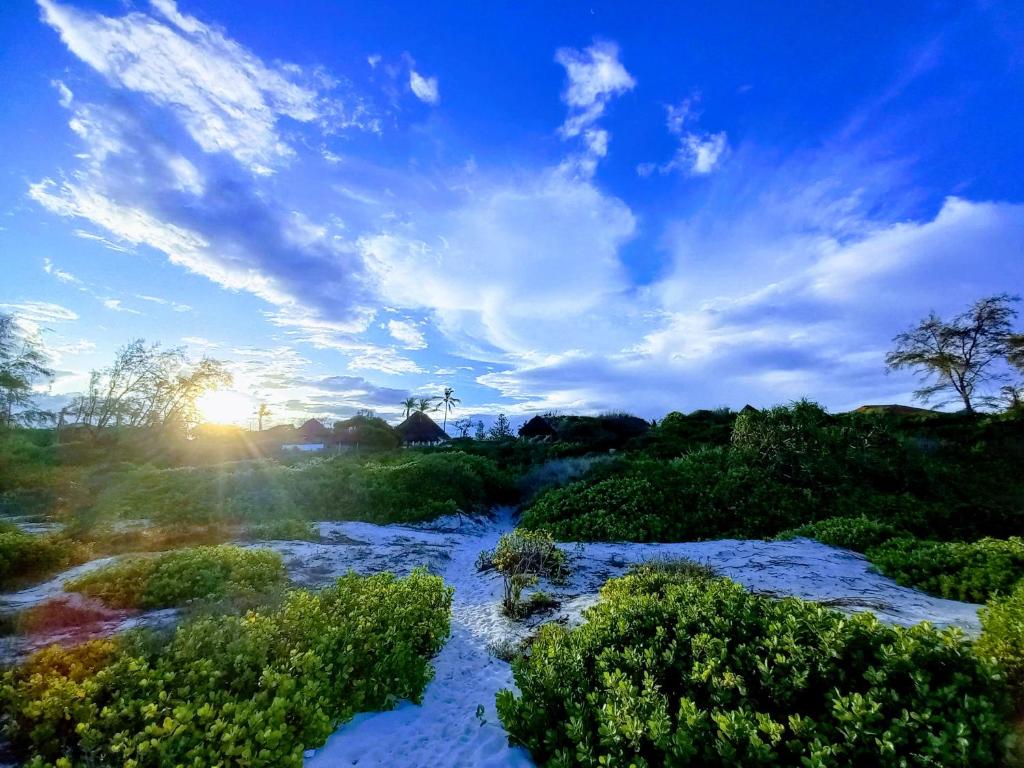 Watamu Beach Cottages photo 3