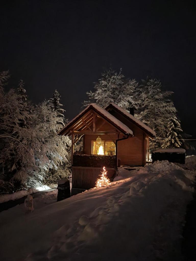 Ica - hišica v hribih photo 4