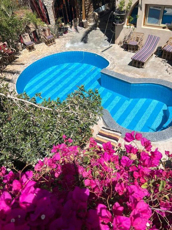 Dream Lodge Siwa دريم لودج سيوة