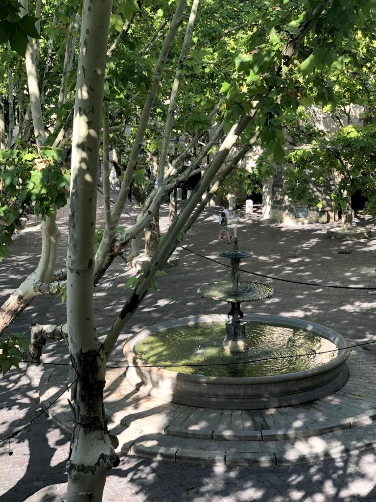 La bohème place aux herbes photo 2