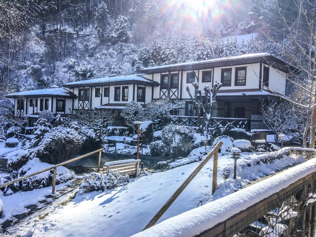 Spa Hotel Ismena