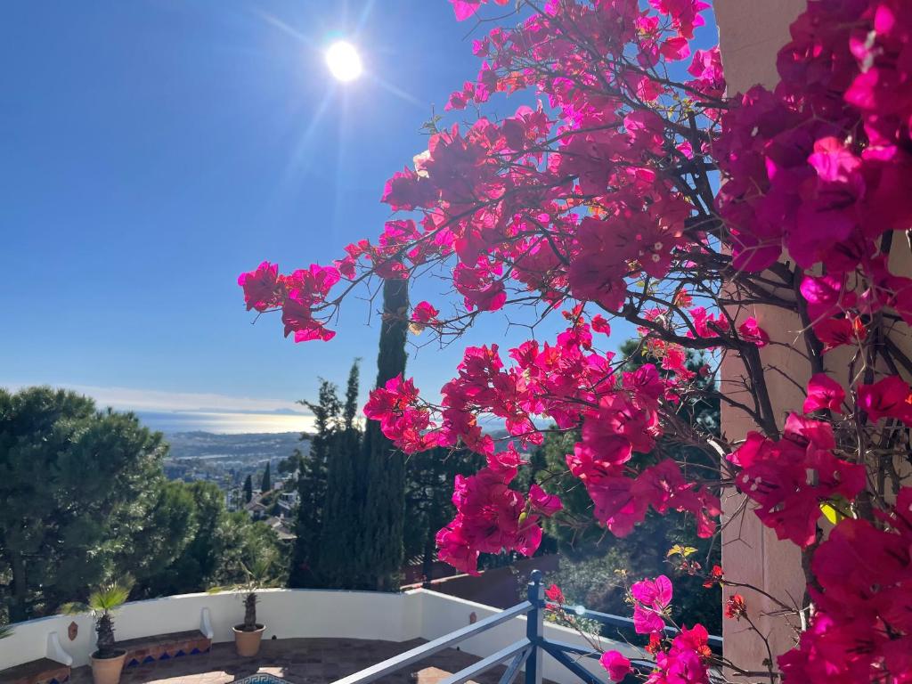 Boutique Hotel Maravilla - Marbella photo 2