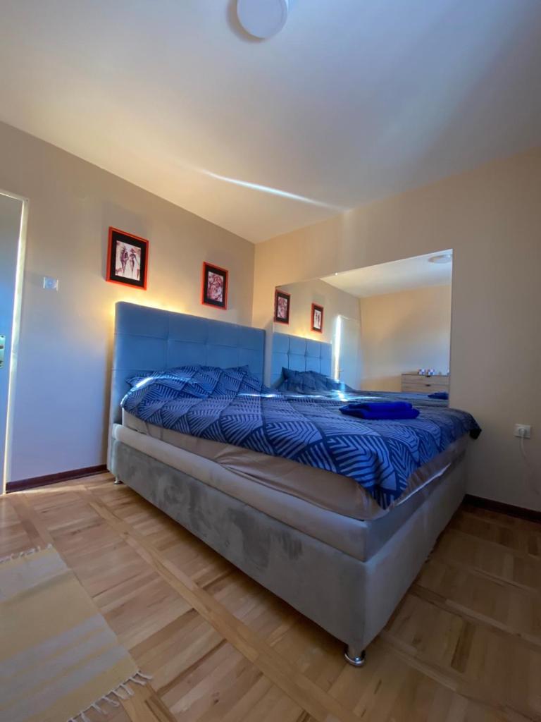 The Nest photo 2