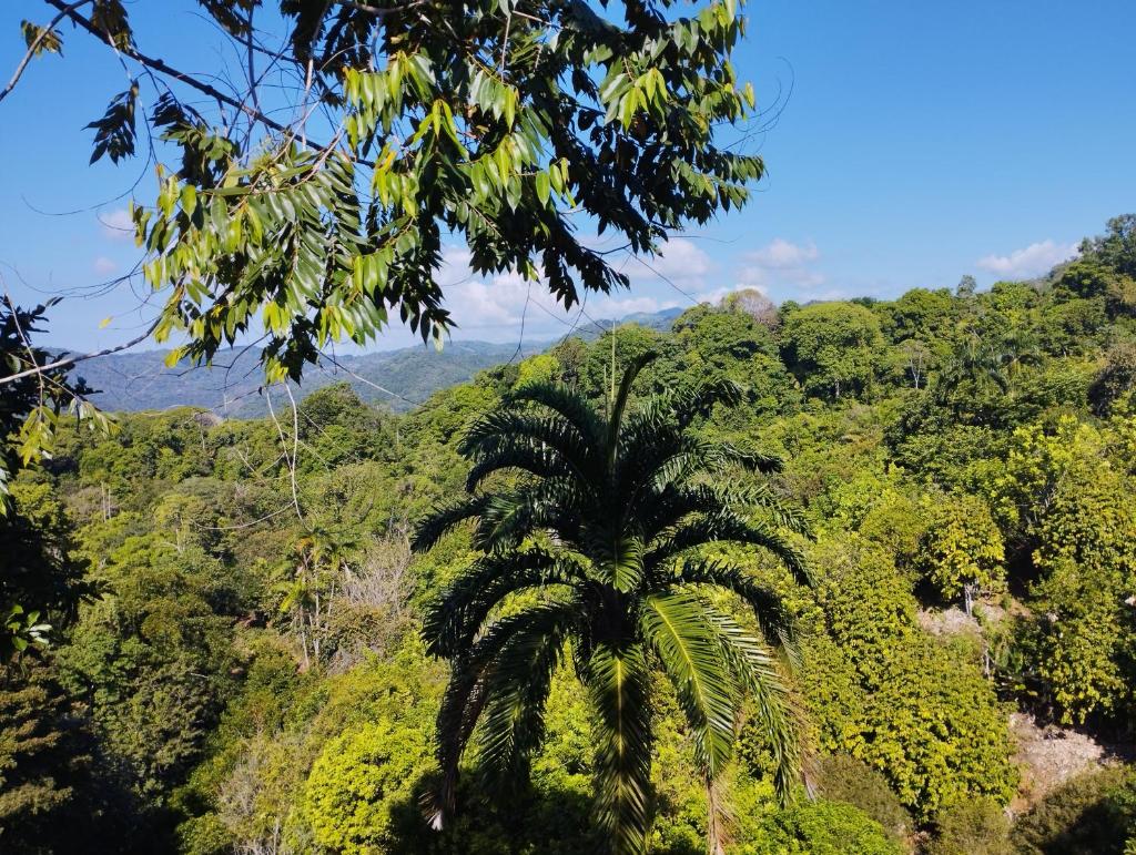 Finca Makambu photo 1