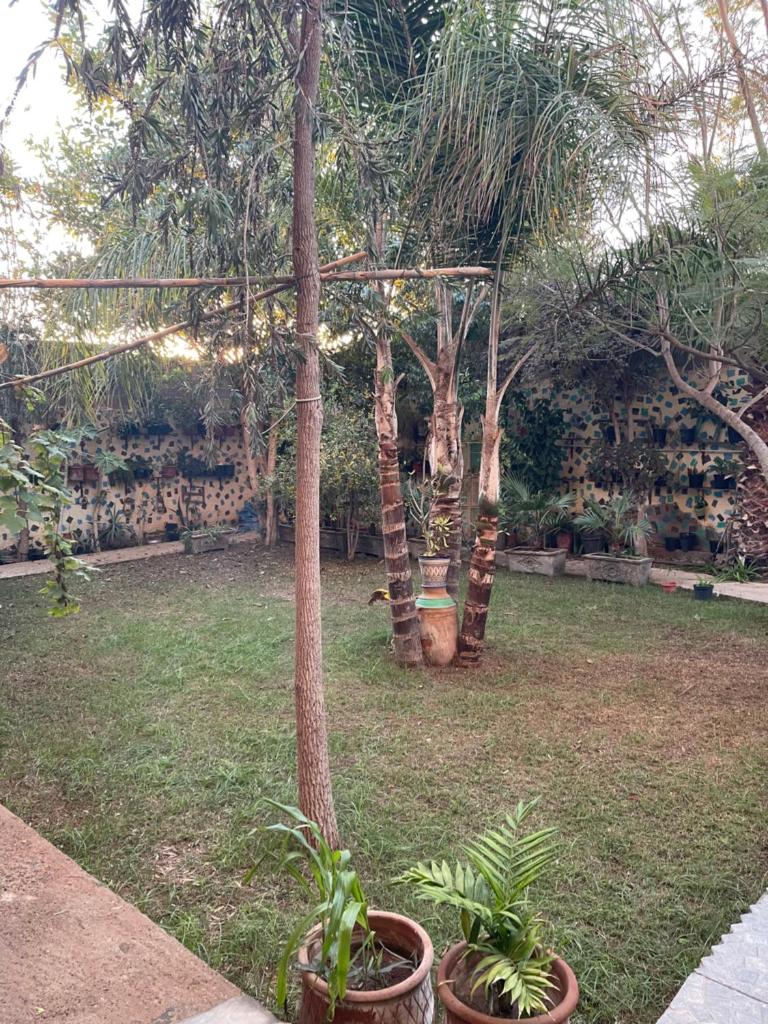 Riad Targante Takad 2 photo 4