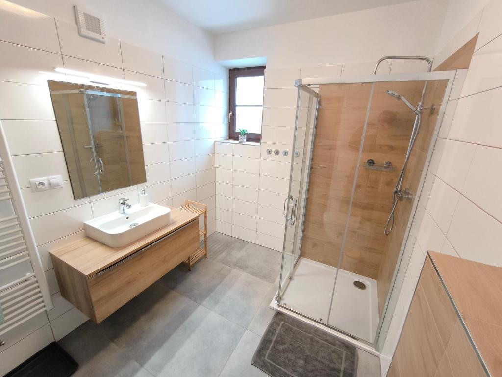 Apartmány Lipno-Hory photo 4