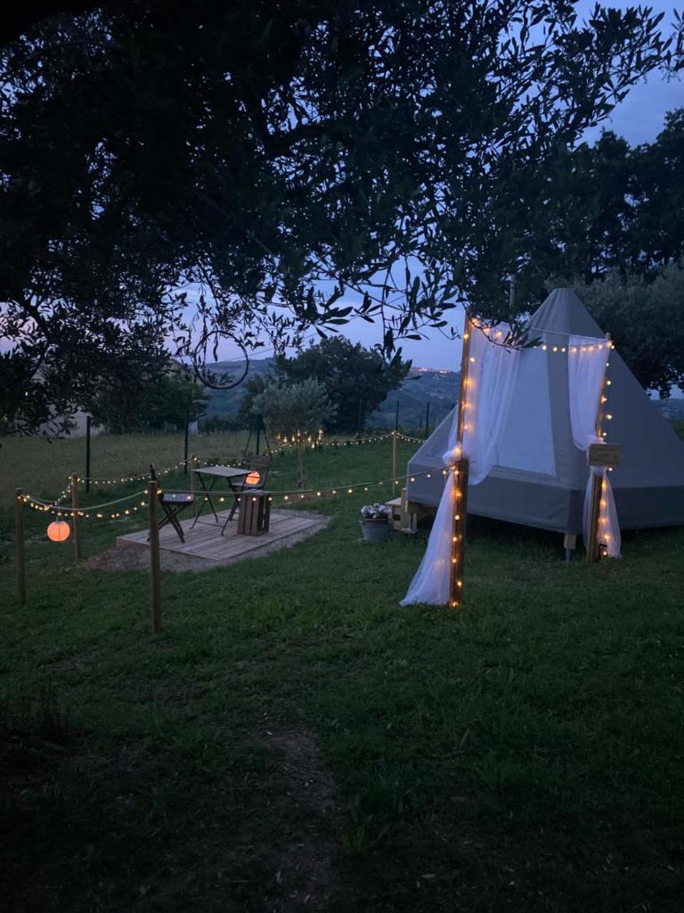 TENDA TIPI' photo 2
