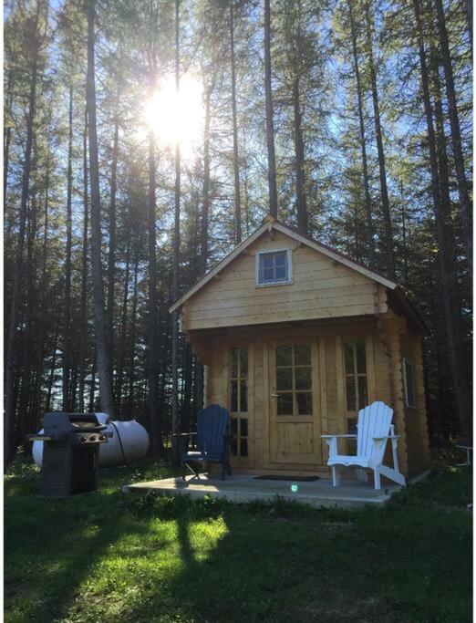Brand new, private oasis on 18 acres in Erin photo 4