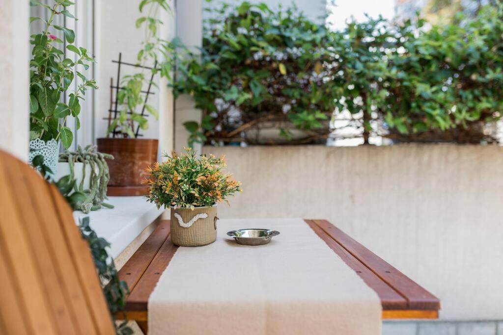 Studio apartment Duda photo 1