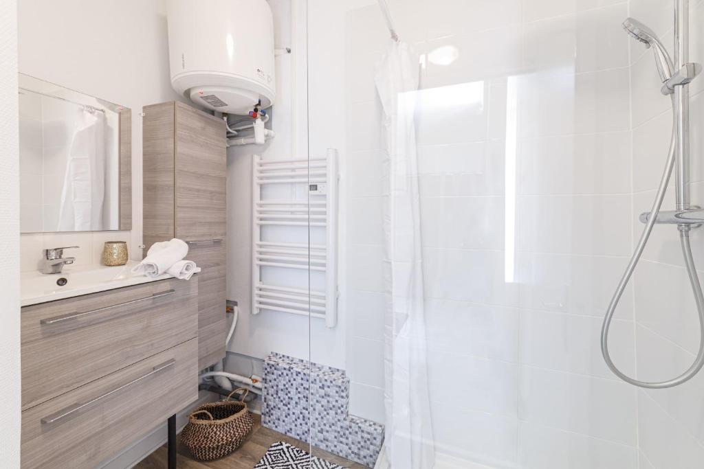 Le Ferry - Appartement centre de Laval photo 4