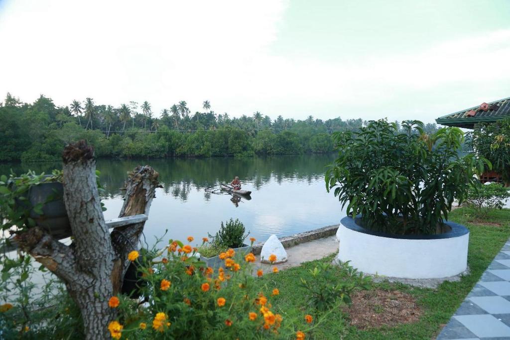 Natural Lake Down South photo 2