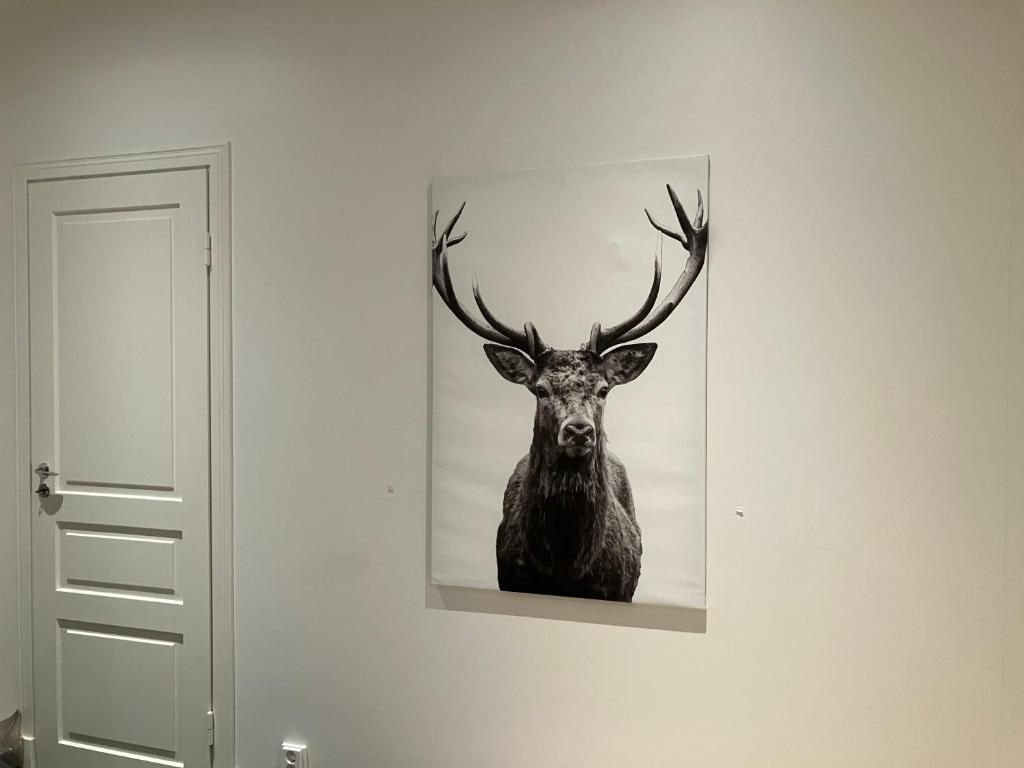 Bella Hostel photo 2