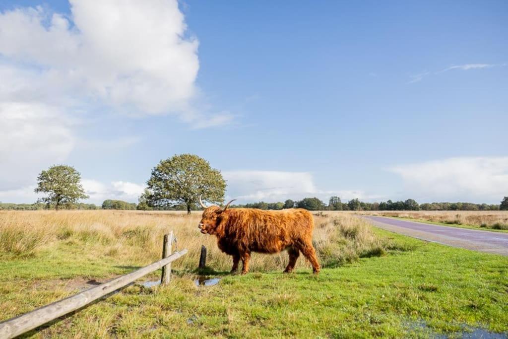 Leva - Logeren in Drenthe photo 4