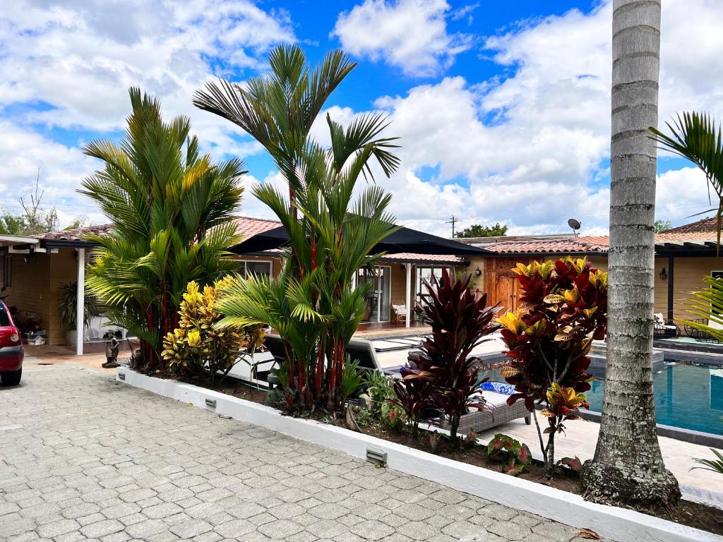 CASA YUTE photo 2