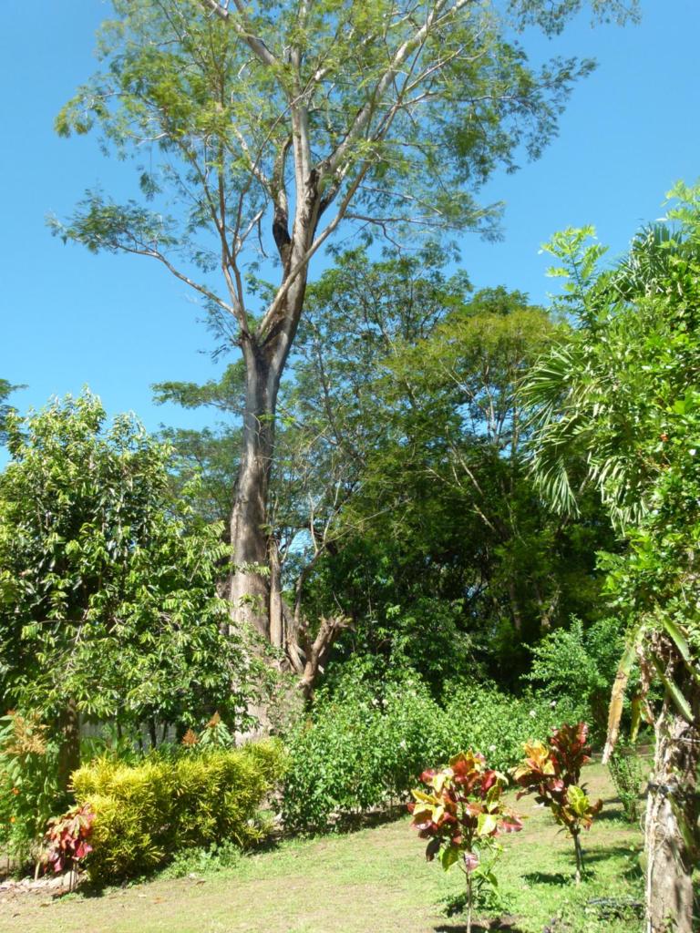 Jardines del Golfo photo 1