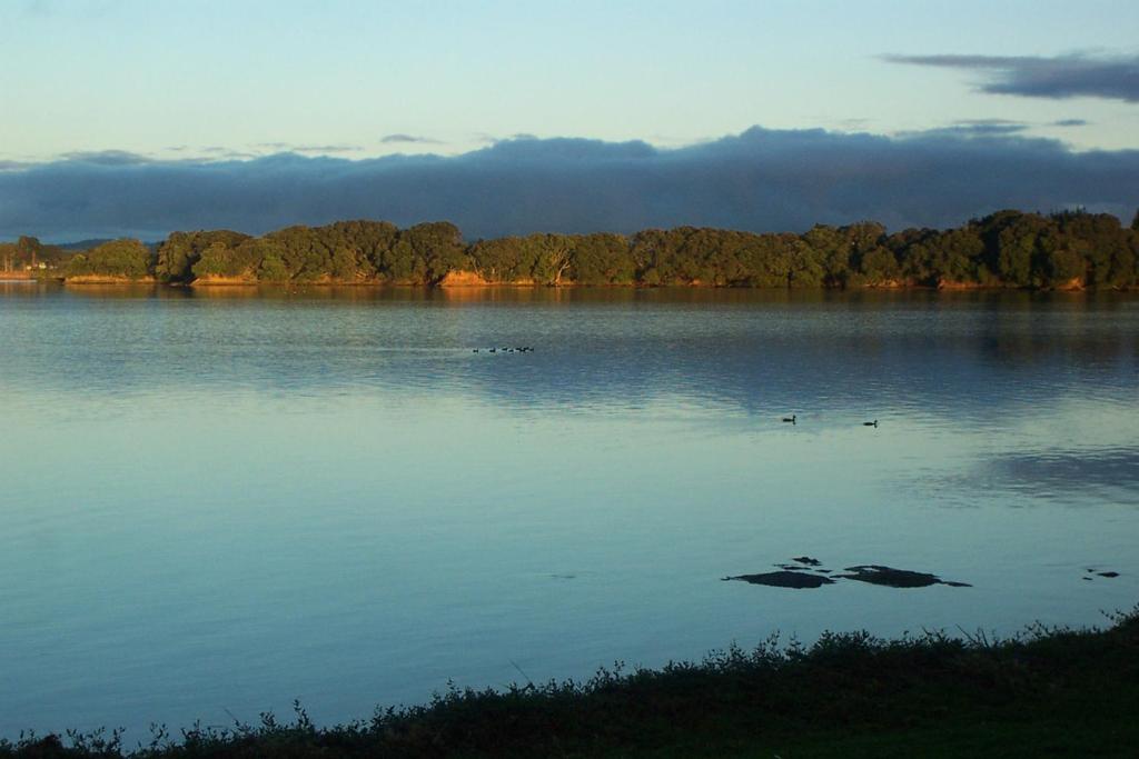 Absolute Waterfront Serenity Near Auckland photo 4