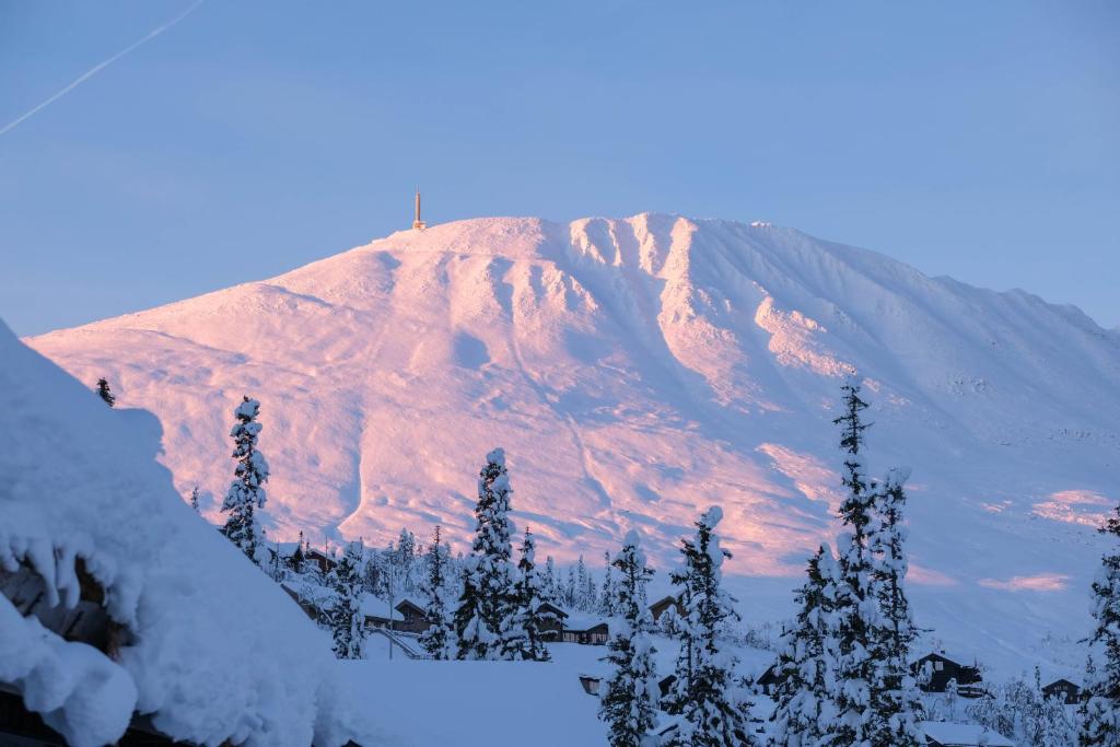 Gausta Lodge med 6 sengeplasser i nærhet til Gaustatoppen photo 1